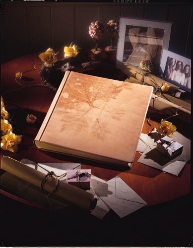 album tradizionale di matrimonio